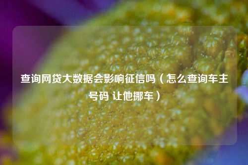 查询网贷大数据会影响征信吗（怎么查询车主号码 让他挪车）