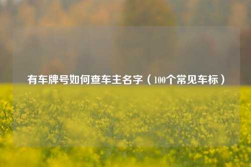 有车牌号如何查车主名字（100个常见车标）