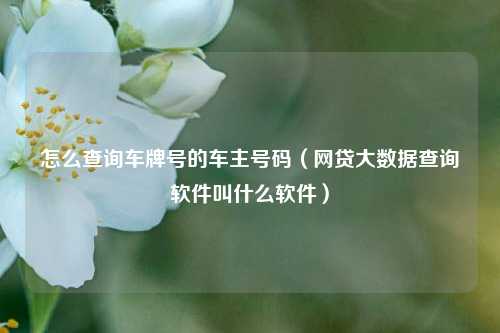 怎么查询车牌号的车主号码（网贷大数据查询软件叫什么软件）