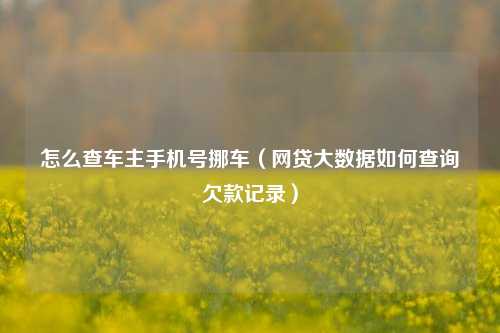 怎么查车主手机号挪车（网贷大数据如何查询欠款记录）