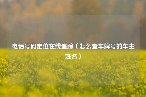 电话号码定位在线追踪（怎么查车牌号的车主姓名）