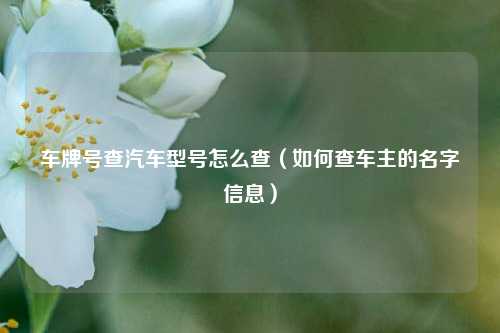 车牌号查汽车型号怎么查（如何查车主的名字信息）