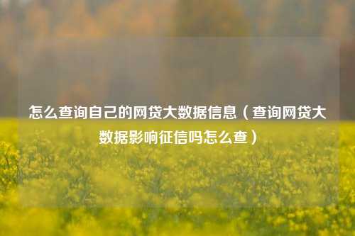 怎么查询自己的网贷大数据信息（查询网贷大数据影响征信吗怎么查）