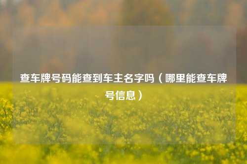 查车牌号码能查到车主名字吗（哪里能查车牌号信息）