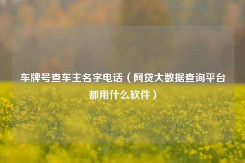 车牌号查车主名字电话（网贷大数据查询平台都用什么软件）