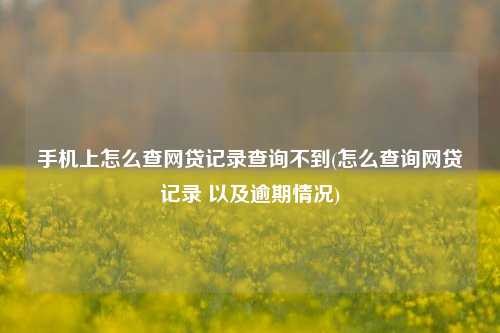 手机上怎么查网贷记录查询不到(怎么查询网贷记录 以及逾期情况)