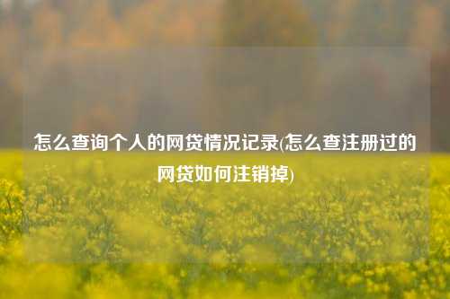 怎么查询个人的网贷情况记录(怎么查注册过的网贷如何注销掉)