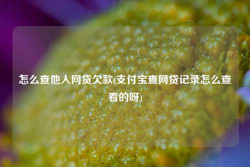 怎么查他人网贷欠款(支付宝查网贷记录怎么查看的呀)