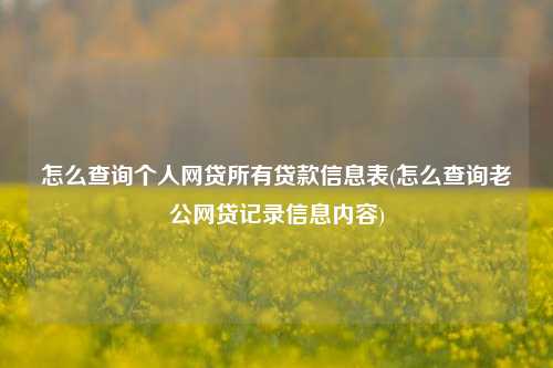 怎么查询个人网贷所有贷款信息表(怎么查询老公网贷记录信息内容)