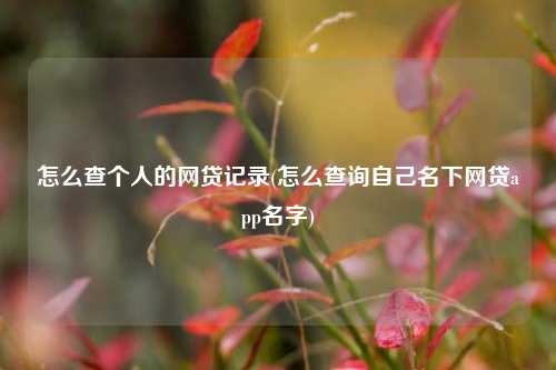 怎么查个人的网贷记录(怎么查询自己名下网贷app名字)