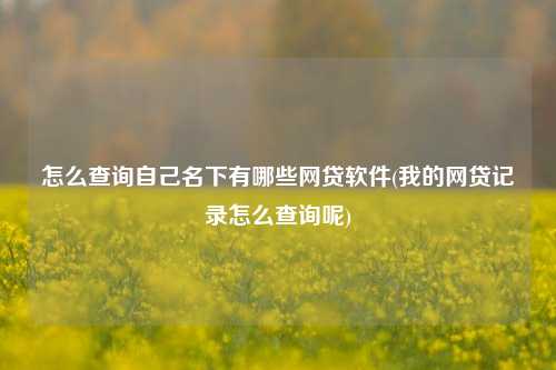 怎么查询自己名下有哪些网贷软件(我的网贷记录怎么查询呢)