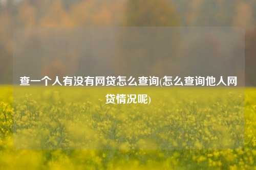 查一个人有没有网贷怎么查询(怎么查询他人网贷情况呢)