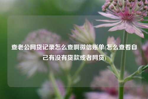 查老公网贷记录怎么查啊微信账单(怎么查看自己有没有贷款或者网贷)