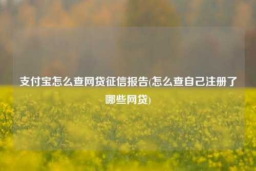 支付宝怎么查网贷征信报告(怎么查自己注册了哪些网贷)