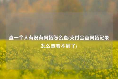 查一个人有没有网贷怎么查(支付宝查网贷记录怎么查看不到了)