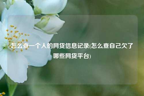 怎么查一个人的网贷信息记录(怎么查自己欠了哪些网贷平台)