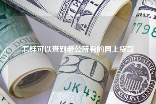 怎样可以查到老公所有的网上贷款