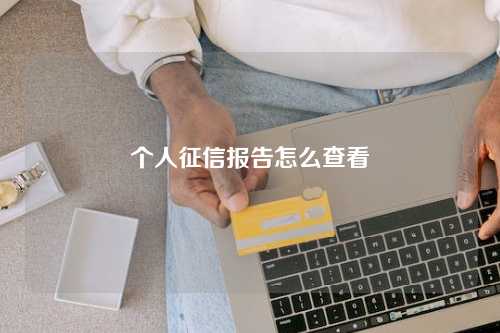 个人征信报告怎么查看