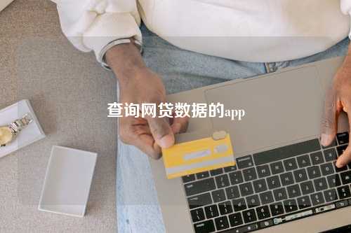 查询网贷数据的app